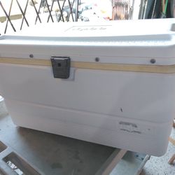 C8888-350 Igloo Cooler