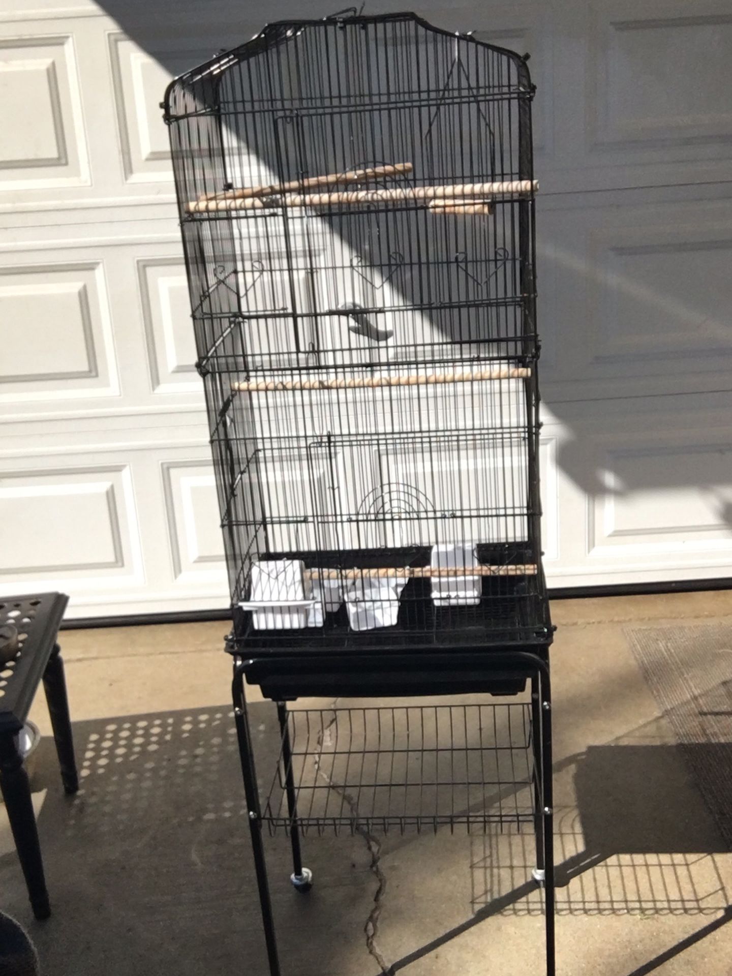 Bird Cage