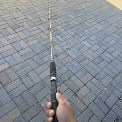 Okuma Swimbait Rod 