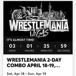 WrestleMania 42 Floor Ticket