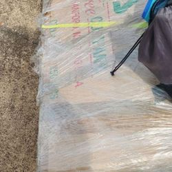 National Tree Company 🌳 