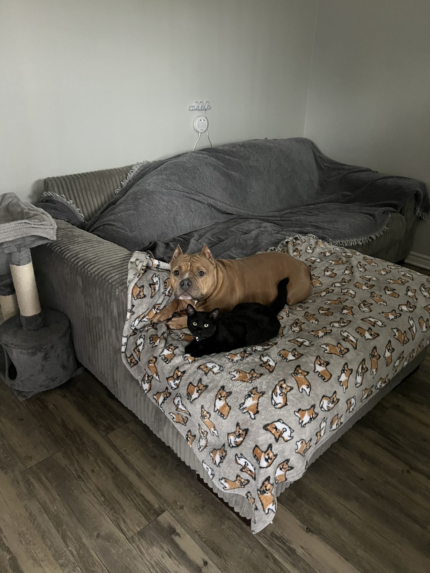 3-piece Sectional