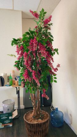 Plastic Plant