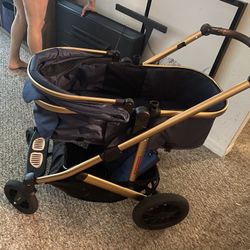 Navy And Gold stroller
