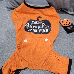 Pet Halloween Pjs