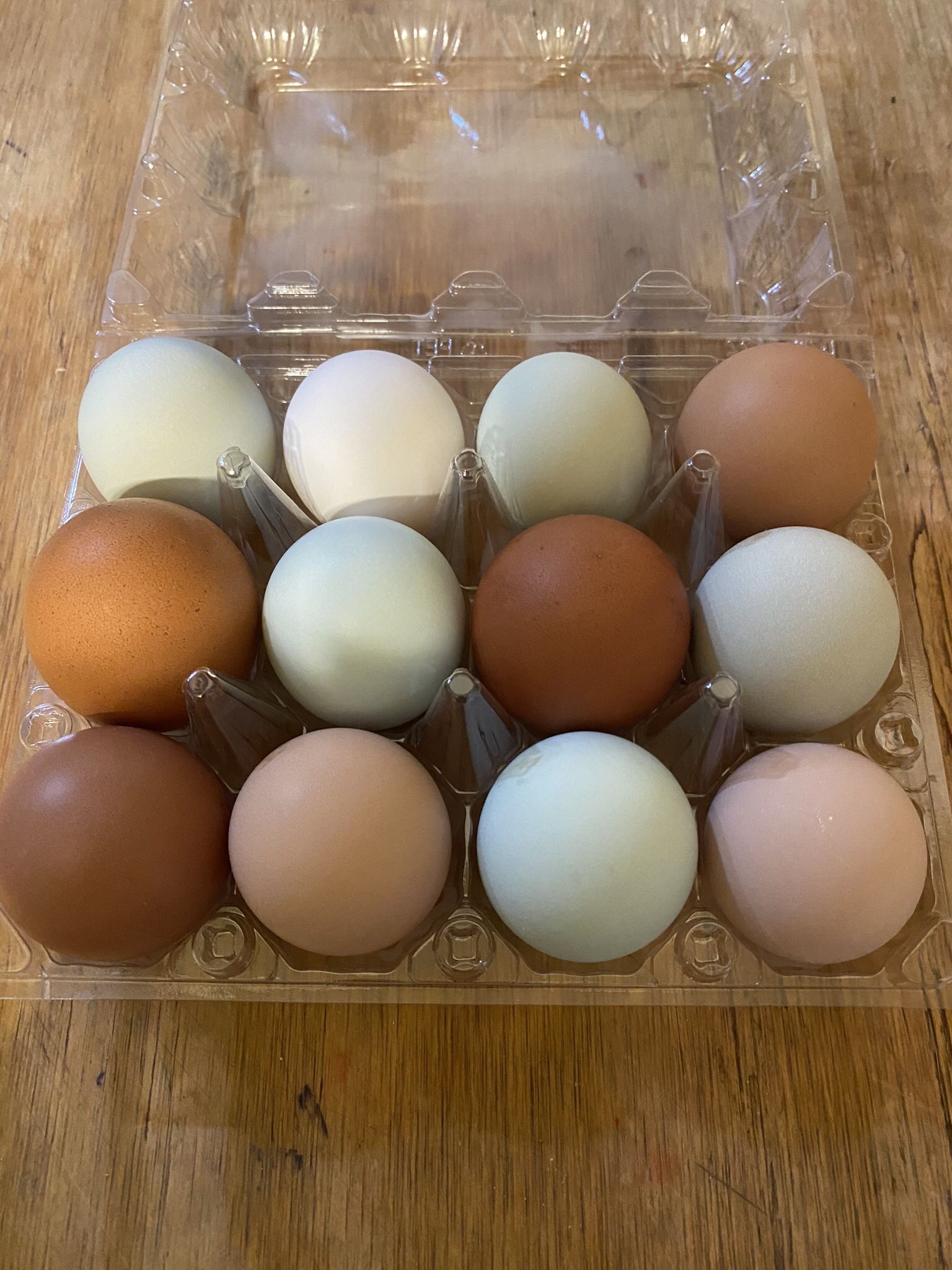 Fresh Organic Eggs