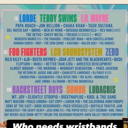 Botte Rock Napa X3 Day Pass Wrist Band