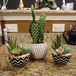   5” Artificial Faux Succulent Plants in Chic Chevron Dish plus
10-inch Artificial Cactus Southwest Desert Prickly Pear in Cement Decor Pot