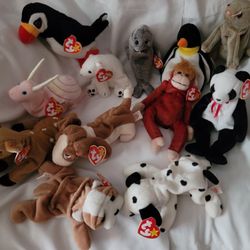 Beanie Baby's They are all retired 