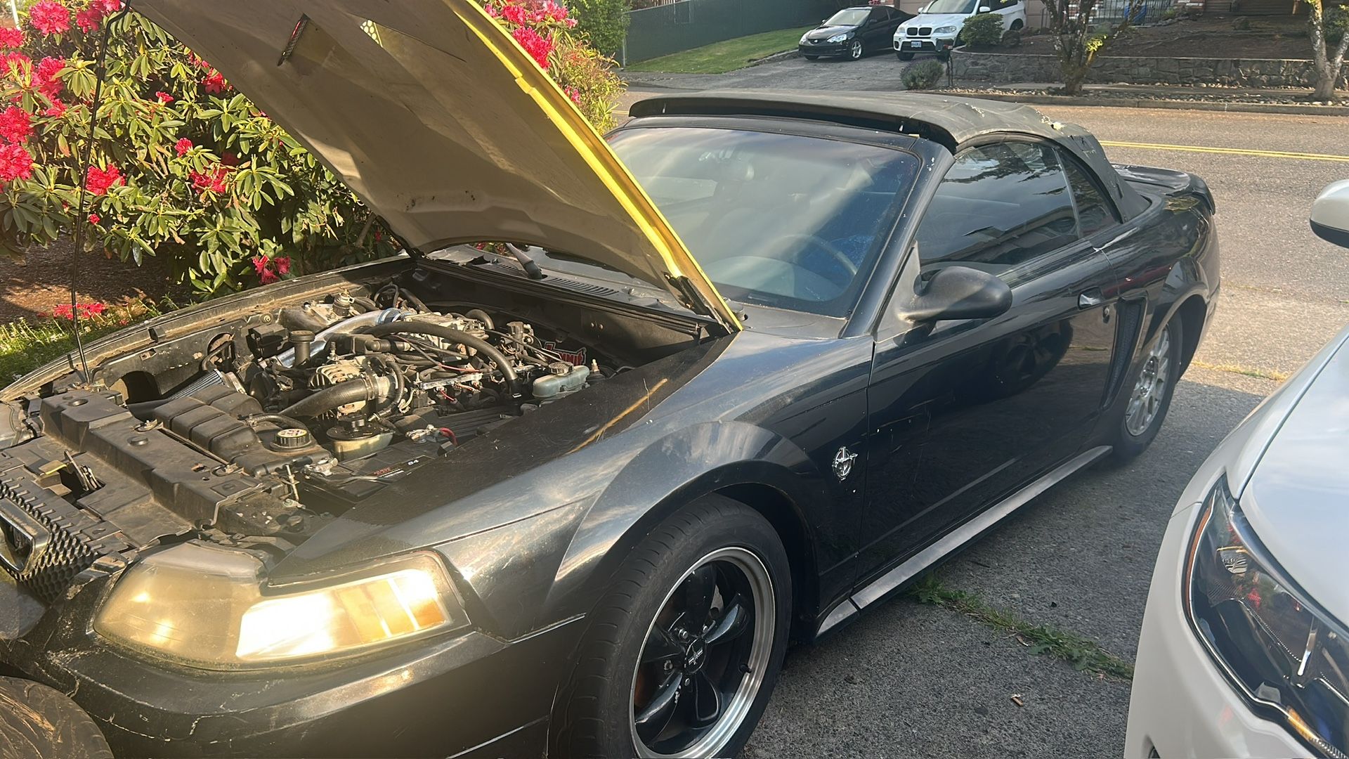 1999 Ford Mustang