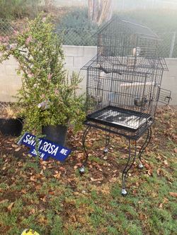 Bird cages