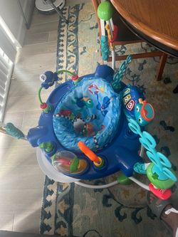 Baby Einstein jumper