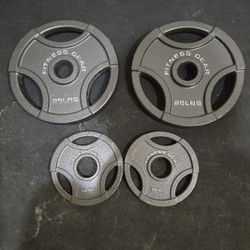 Excellent Condition 5lb And 25lb Fitness Gear Olympic Weight Plates