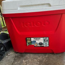 Cooler Fit 41 Can 