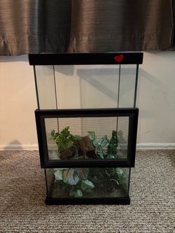 Reptile Tank