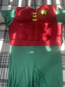 Robin Costume