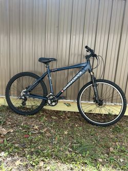 Diamondback Mountain Bike