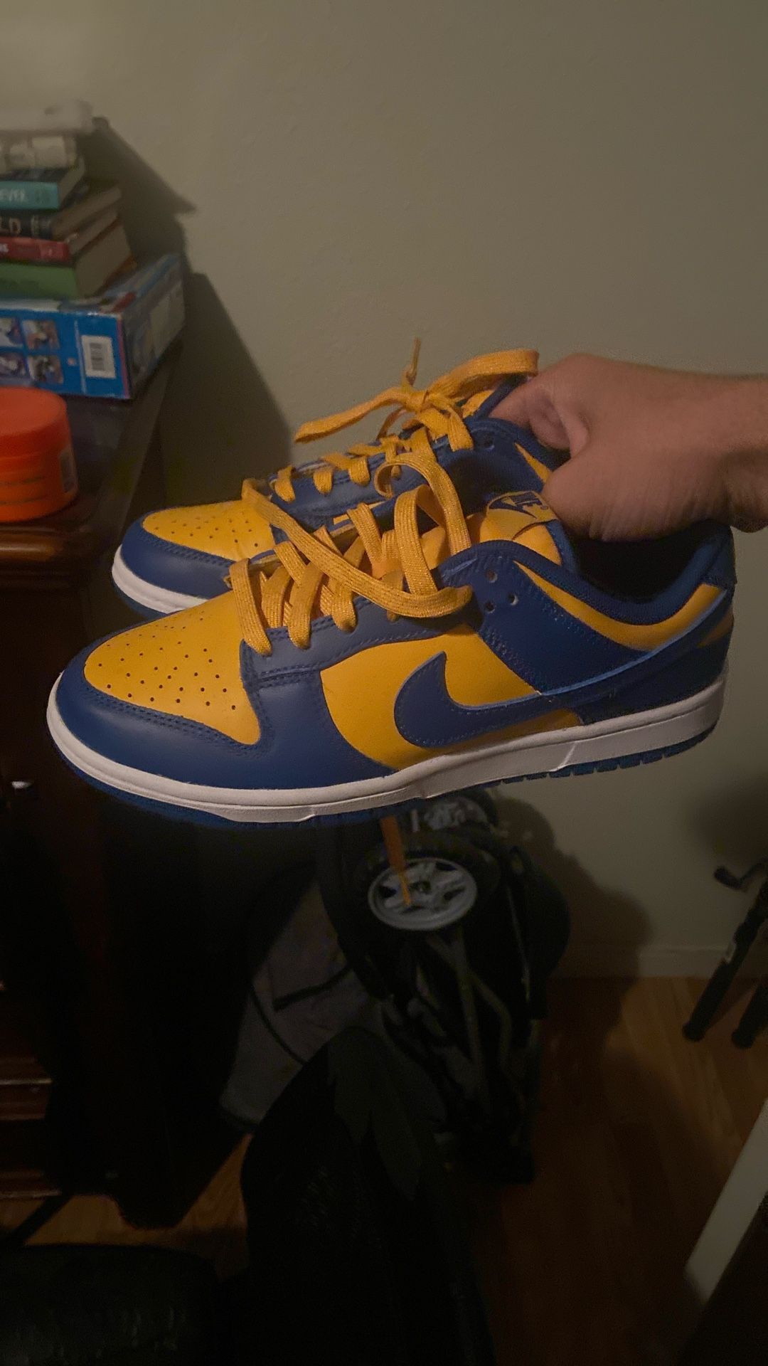 Ucla Dunks