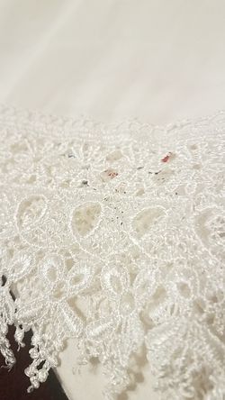 New! Beautiful Sheer long blouse/Dress. Gorgeous lace trim on the bottom.