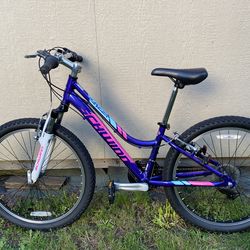 Schwinn Ranger