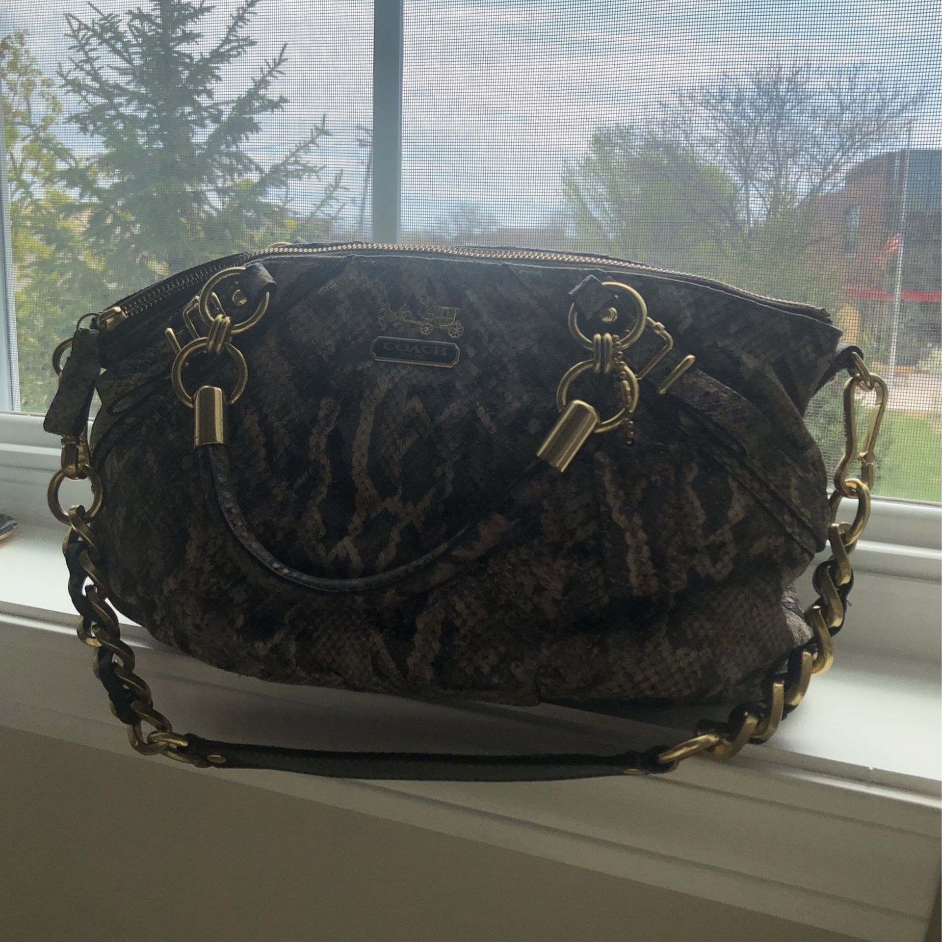 Coach Snakeskin Purse