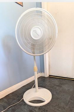 Fan, stand up