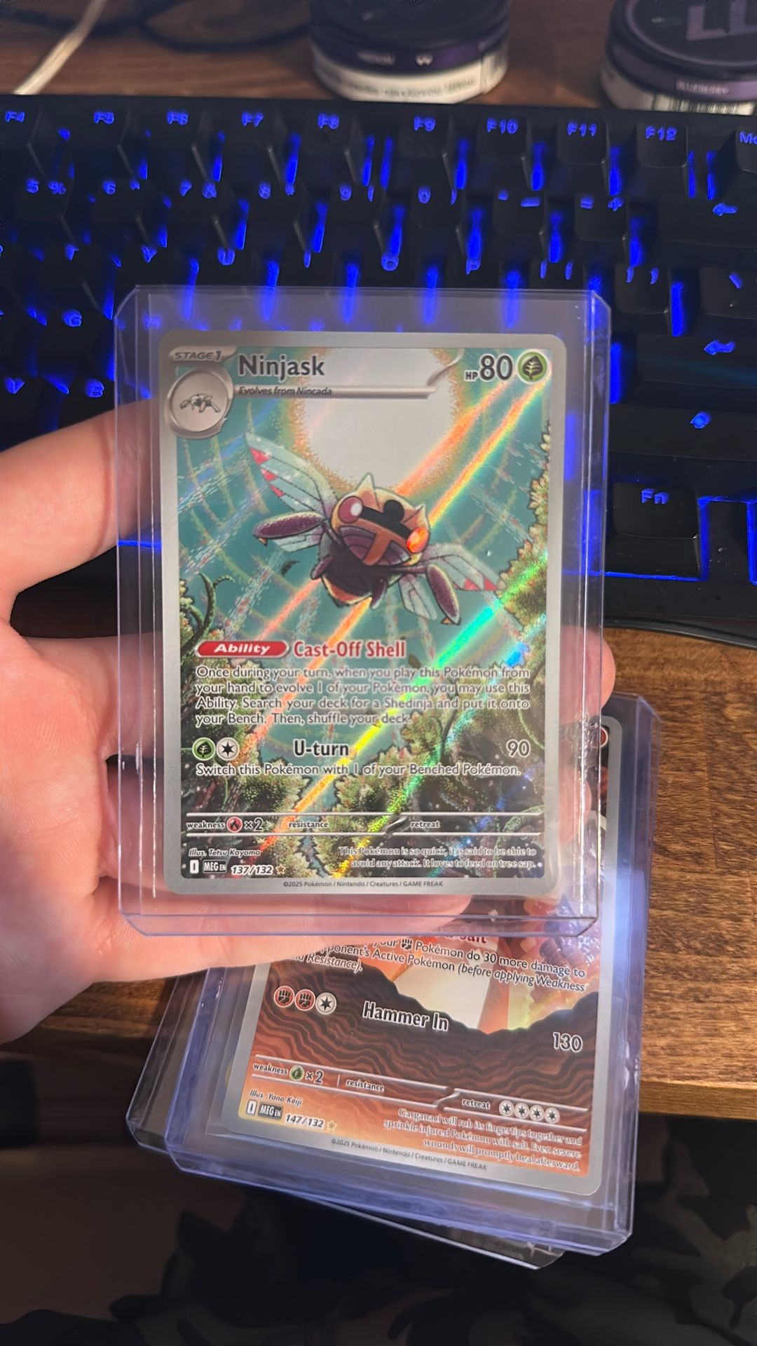 Ninijask #137 Mega Evolutions 
