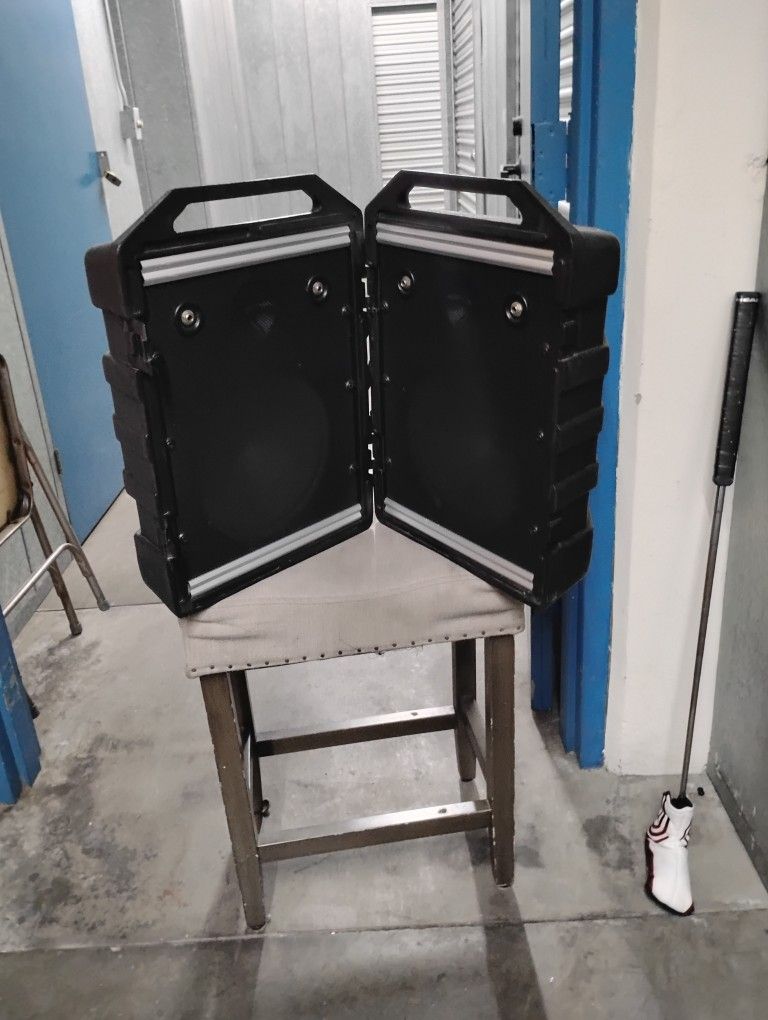 Peavey Mini Monitors.