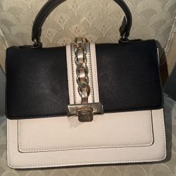 Aldo Spring Collection Bag