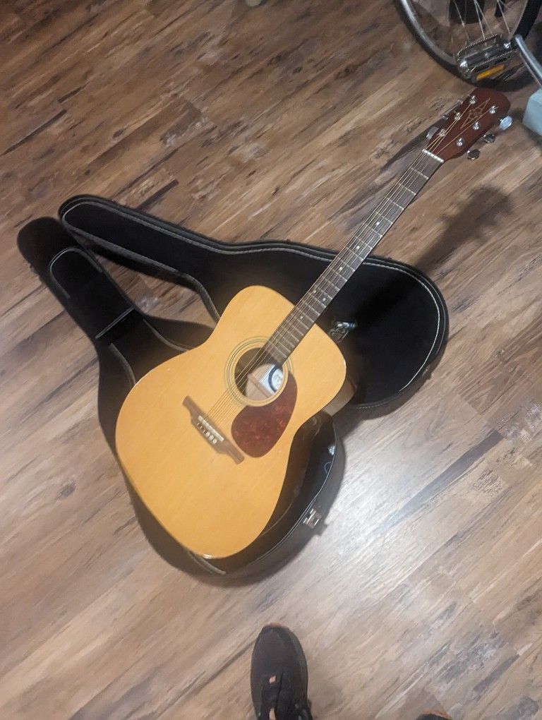 Acoustic Guitar 