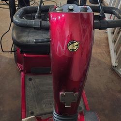 Golden Companion Electric Scooter