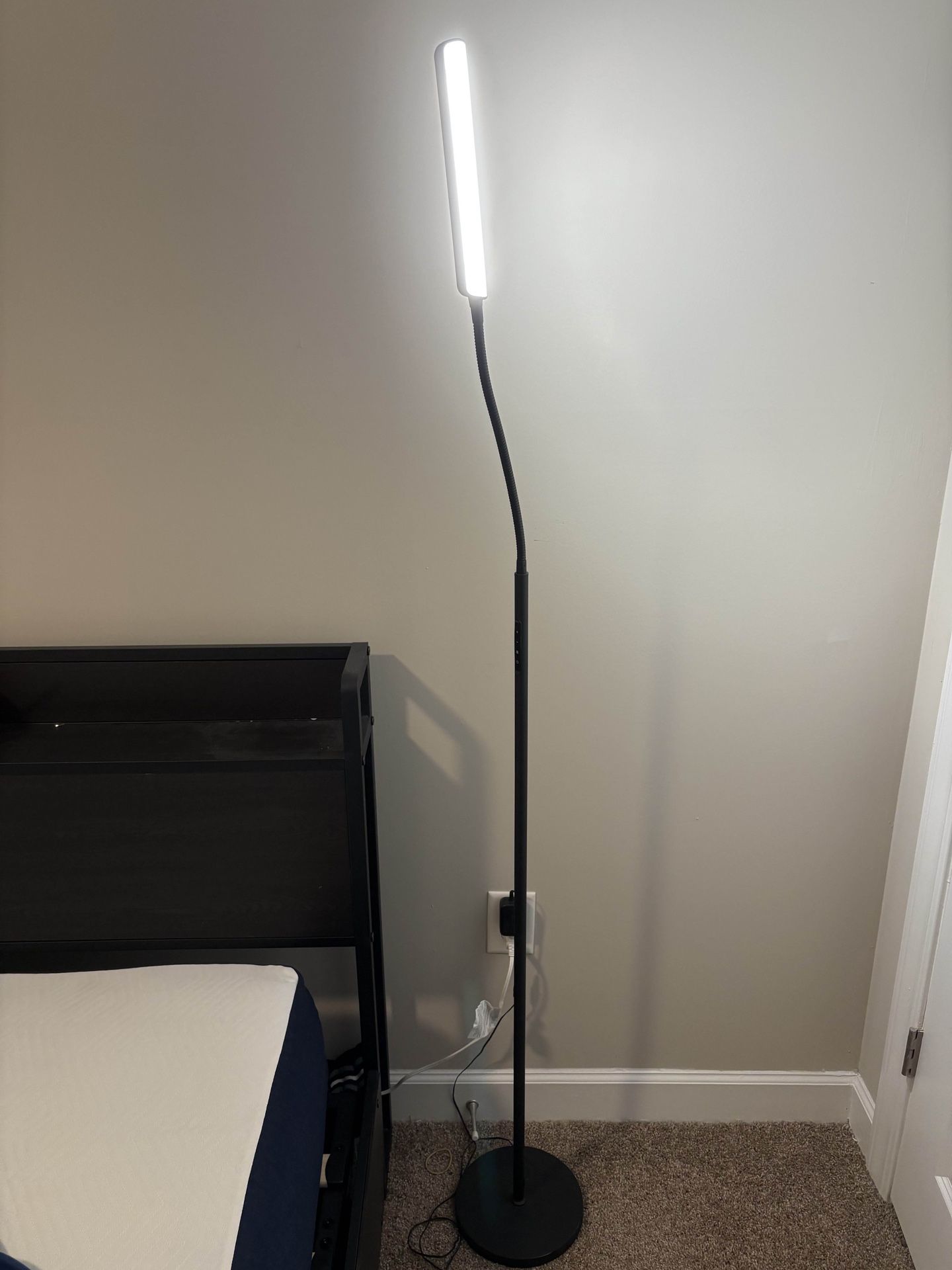 LED Floor Lamp w Adjustable Brightness and Color Temperatures