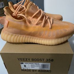 Yeezy Boost 350 V2