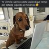 Jeyyy