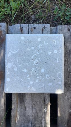 Shellock pavers 8x8 19 pieces