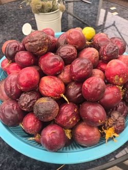 Passion fruit---- Maracuya .