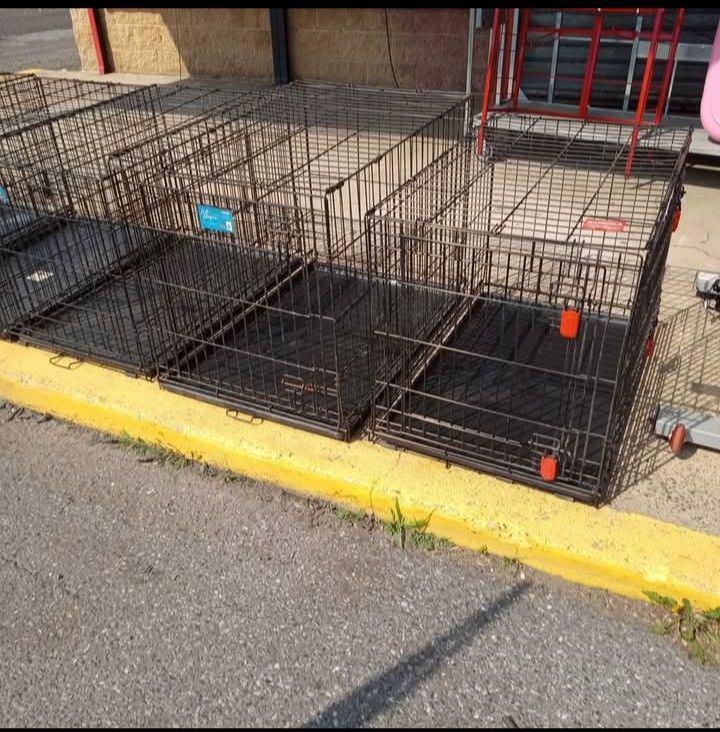 36-in Pet Crate