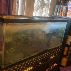 55gallon fish tank 