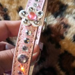 Dog Collar,Small Dog Collar,Collar For Pet,Cat Collar 