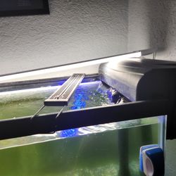 FISH THANK LIKE 50 GALLONS