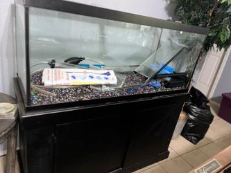 Fish tank and Suppiles
