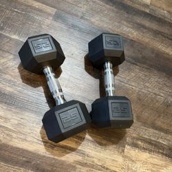 25 lb Dumbbells 