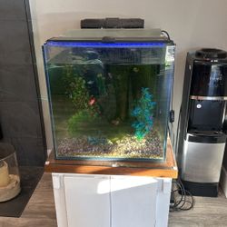 Large Square Fish Tank, Filter And Fish