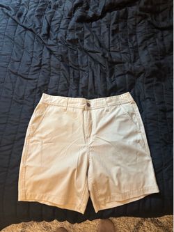 Khaki shorts