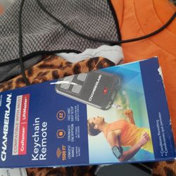 Chamberlain 956EV-P2