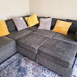 Gray Pull-out Couch
