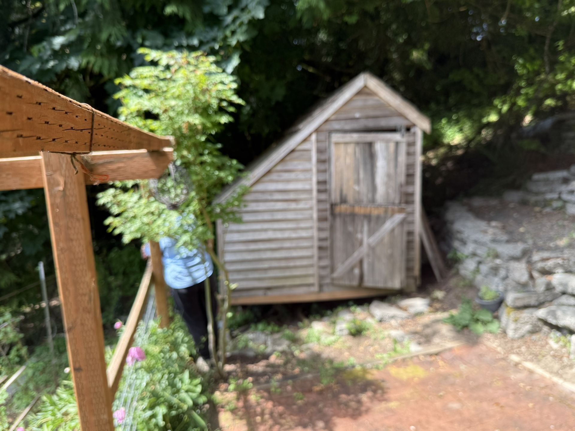 Garden Greenhouse Shed/ Kids Playhouse/ Or ??
