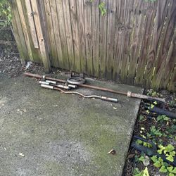 Curl Bars