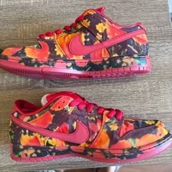 Nike SB Dunk Low Poppy Fields size 11.5 mens