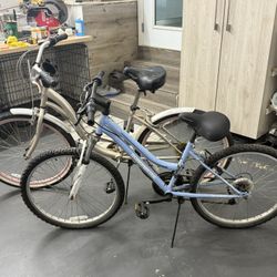 2 Bikes – Roadmaster Mountain Bike & Cruiser Bike